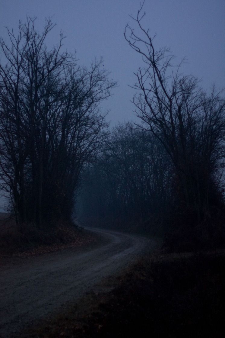 dark web hitman for hire