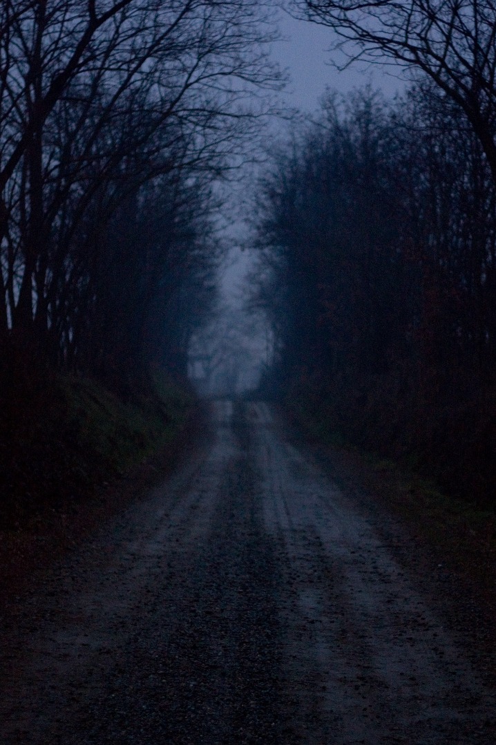 dark web websites reddit