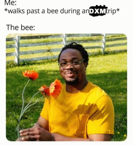 dxm pills