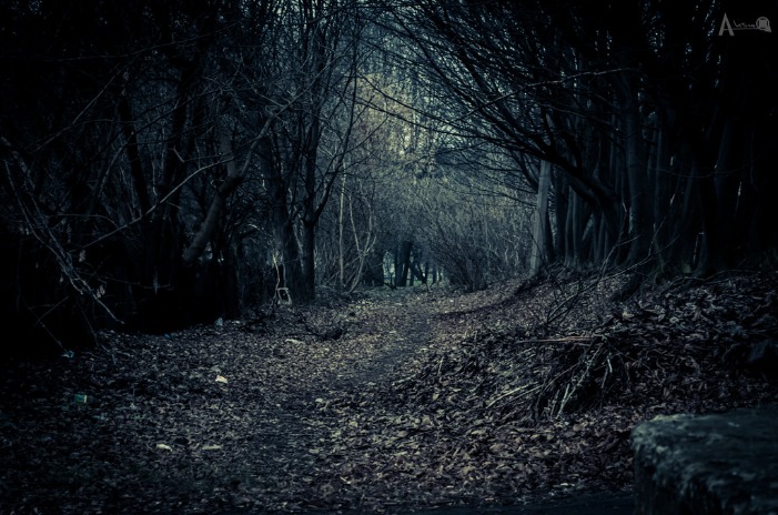 dark web prepaid cards reddit