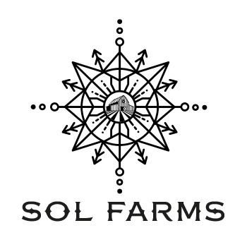 best darknet market for psychedelics