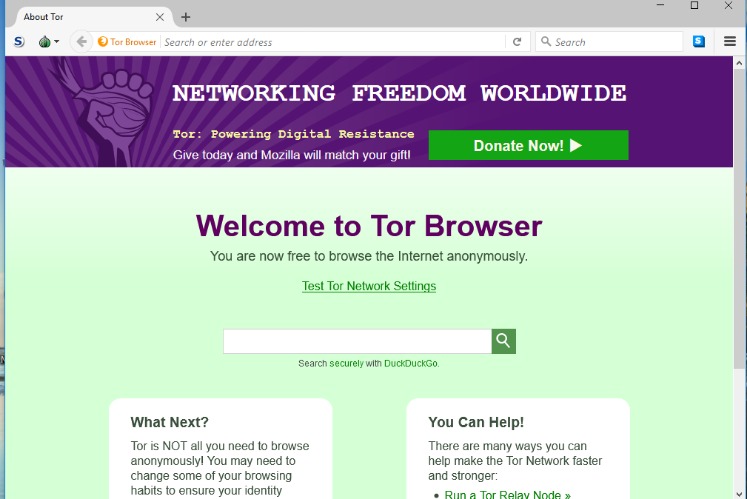 how do people access the dark web