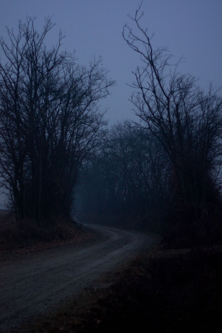 dark web electronics