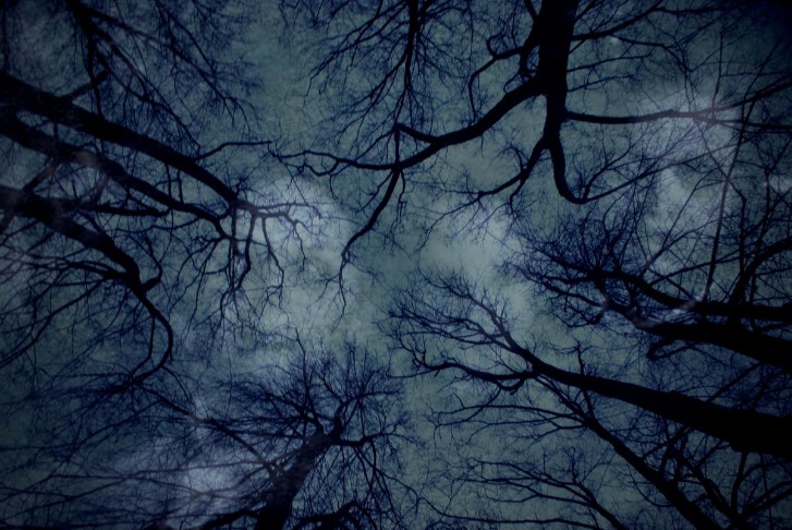 dark web links 2025 reddit